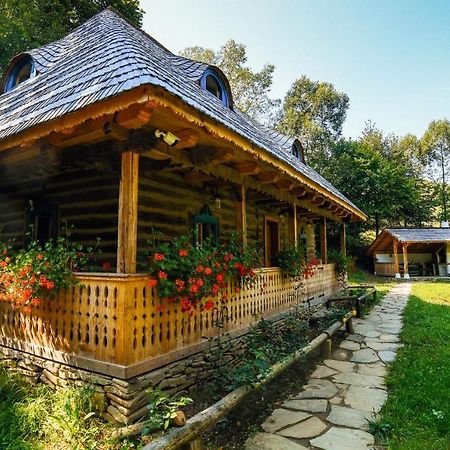 Willa Casa Lu' Ion Vişeu de Sus Zewnętrze zdjęcie