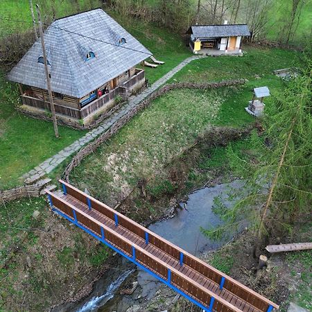 Willa Casa Lu' Ion Vişeu de Sus Zewnętrze zdjęcie
