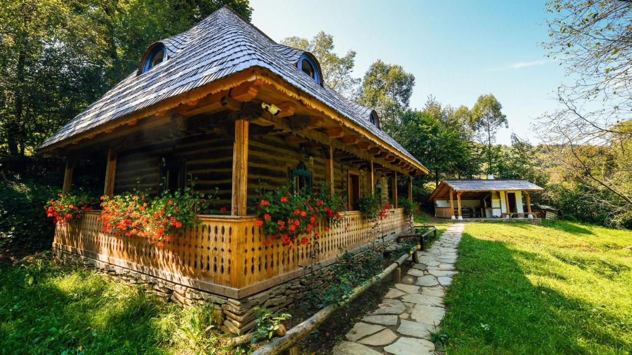 Willa Casa Lu' Ion Vişeu de Sus Zewnętrze zdjęcie