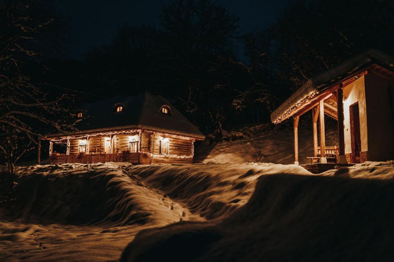 Willa Casa Lu' Ion Vişeu de Sus Zewnętrze zdjęcie