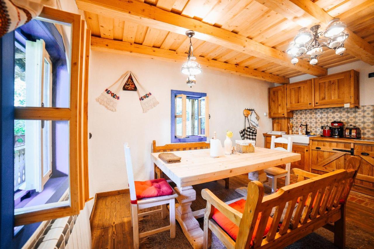Willa Casa Lu' Ion Vişeu de Sus Zewnętrze zdjęcie