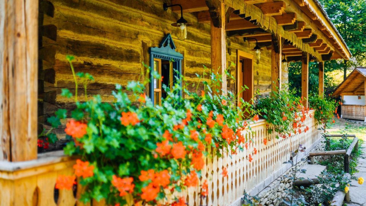 Willa Casa Lu' Ion Vişeu de Sus Zewnętrze zdjęcie