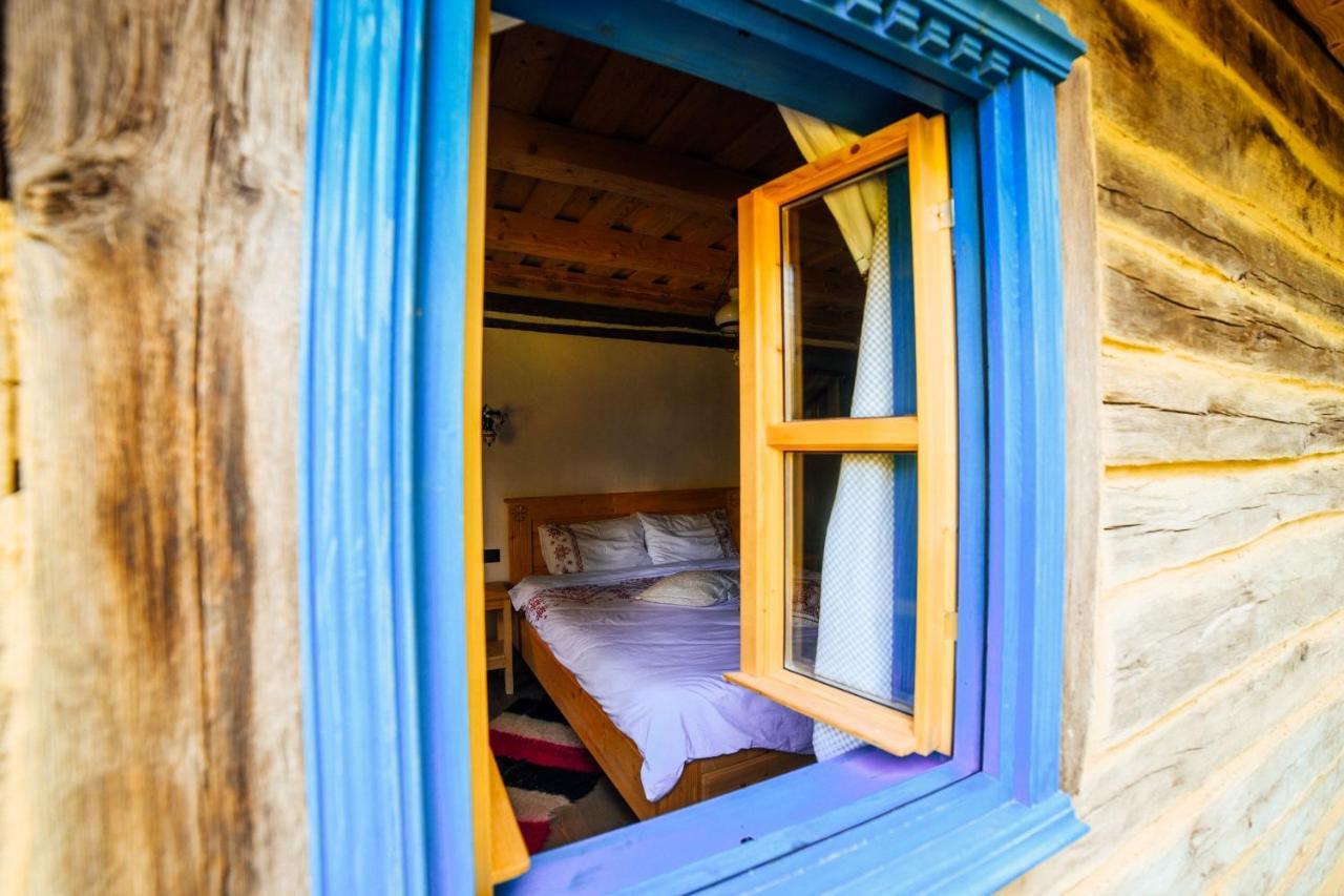 Willa Casa Lu' Ion Vişeu de Sus Zewnętrze zdjęcie