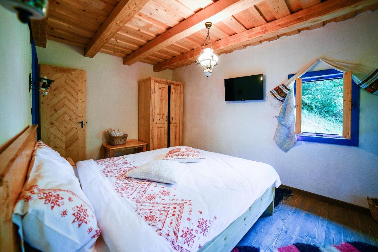 Willa Casa Lu' Ion Vişeu de Sus Zewnętrze zdjęcie