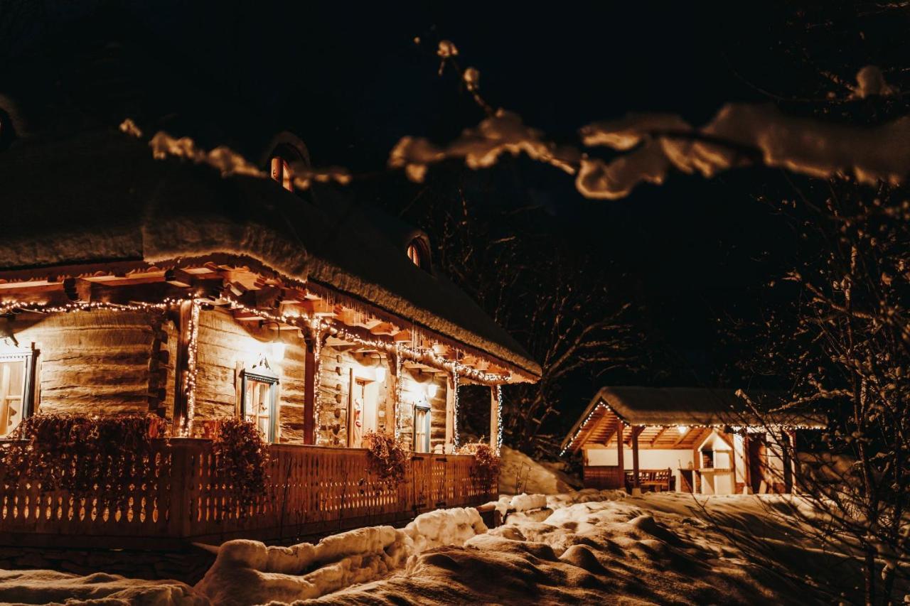 Willa Casa Lu' Ion Vişeu de Sus Zewnętrze zdjęcie