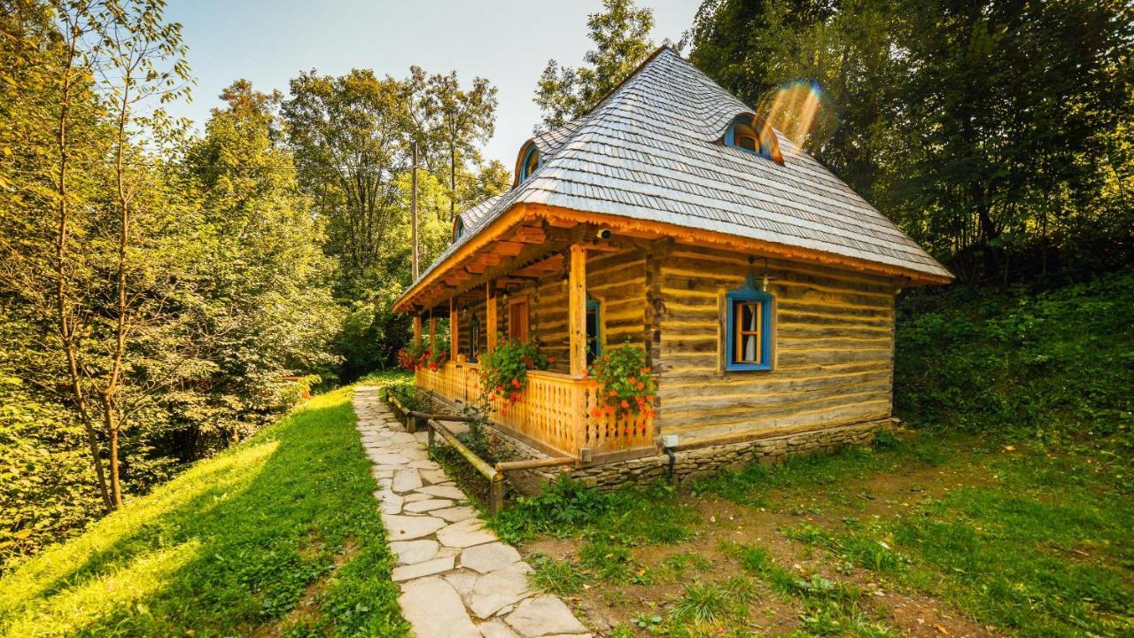 Willa Casa Lu' Ion Vişeu de Sus Zewnętrze zdjęcie
