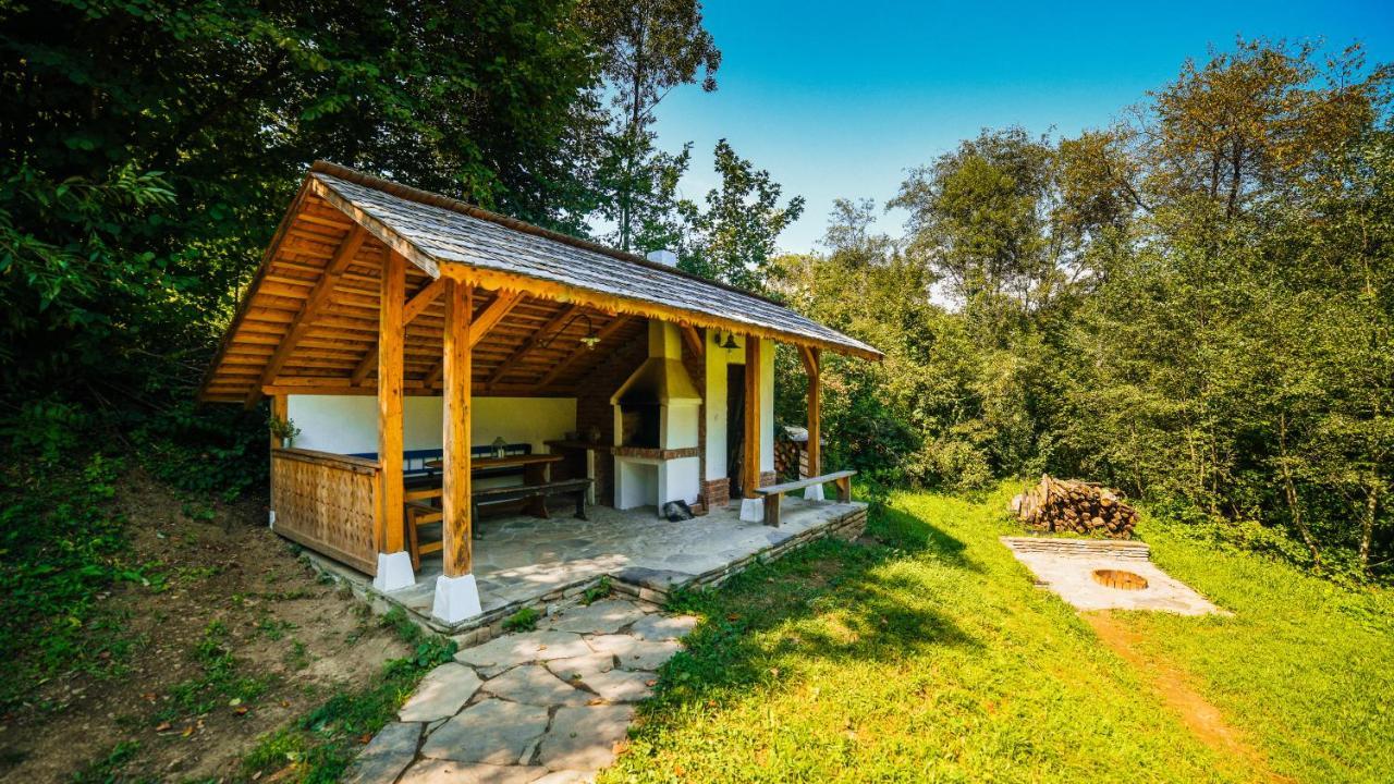 Willa Casa Lu' Ion Vişeu de Sus Zewnętrze zdjęcie