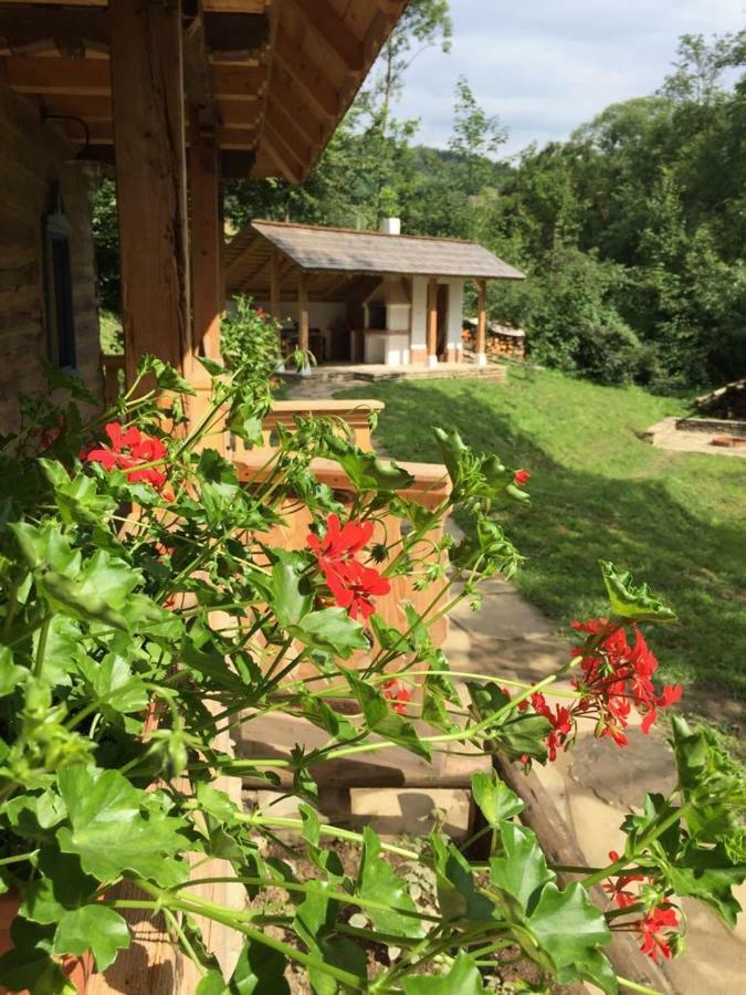 Willa Casa Lu' Ion Vişeu de Sus Zewnętrze zdjęcie