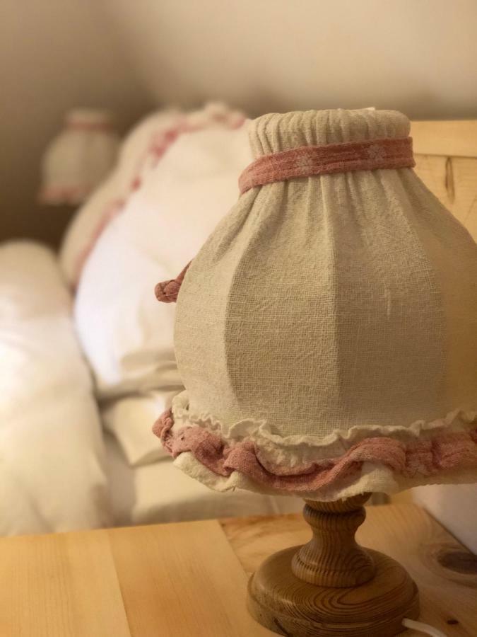 Willa Casa Lu' Ion Vişeu de Sus Zewnętrze zdjęcie