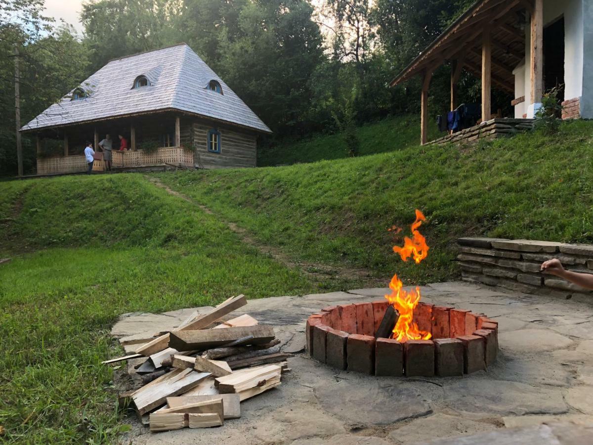 Willa Casa Lu' Ion Vişeu de Sus Zewnętrze zdjęcie