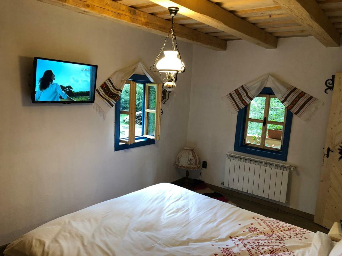 Willa Casa Lu' Ion Vişeu de Sus Zewnętrze zdjęcie